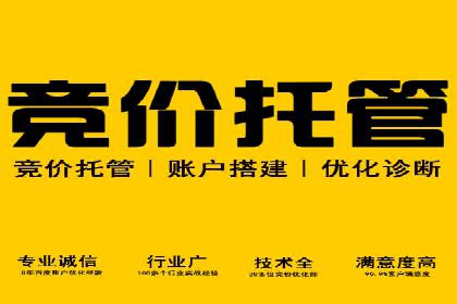 某公司网站sem托管项目纪实